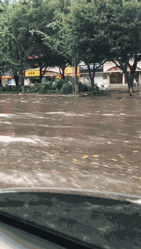 280_494竖版 竖屏gif 动态图 动图