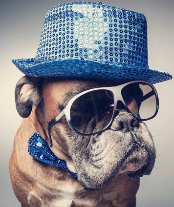 王二狗,你在哪?