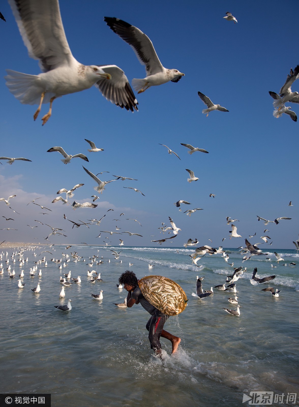 成千上万的沙丁鱼从印度洋迁徙到非洲海岸,成群结队的渔民聚集在一起