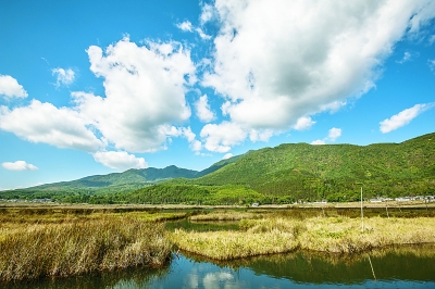 腾冲北海湿地景象.光明图片/视觉中国
