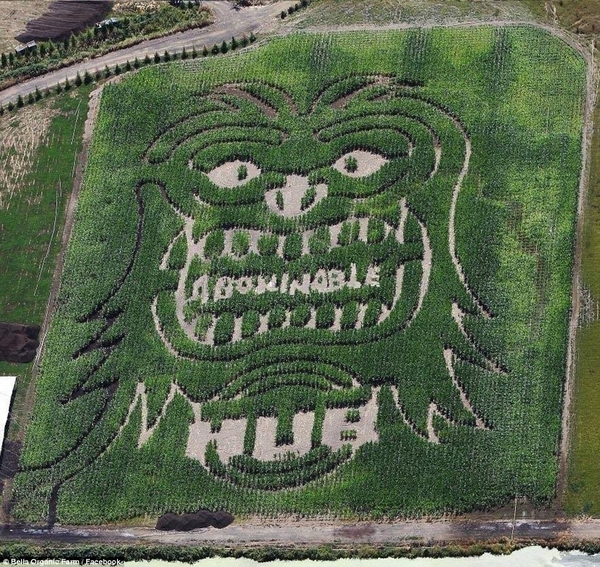 美国篮球迷做明星球员"麦田怪圈"|利拉德|开拓者|迷宫_新浪新闻