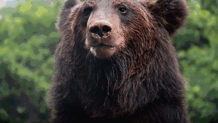 444_250gif 动态图 动图