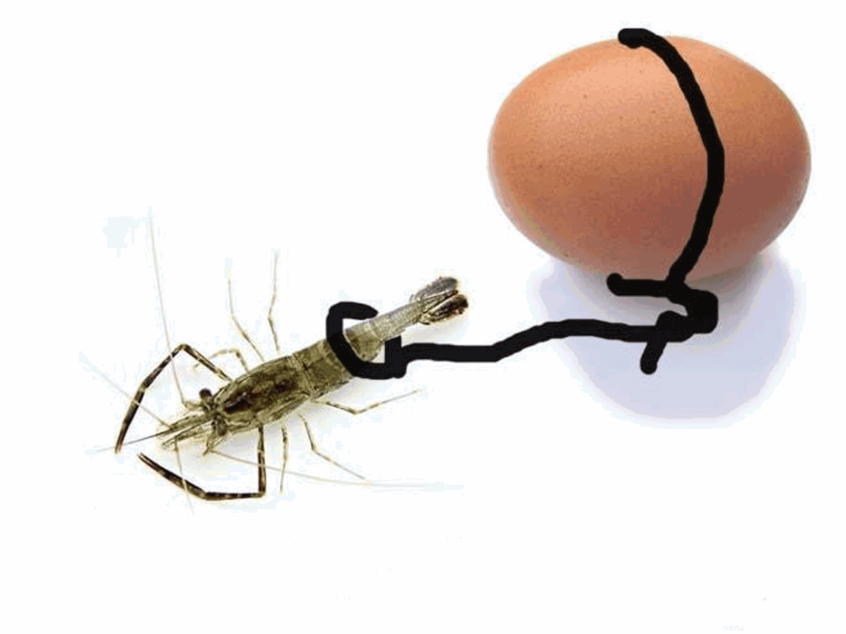 甚至他担心两人打着打着康纳会不会突然踢出一脚或者做个裸绞什么的