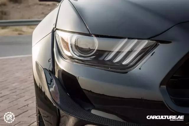 美式肌肉车，低趴的福特野马尽显迷人之处