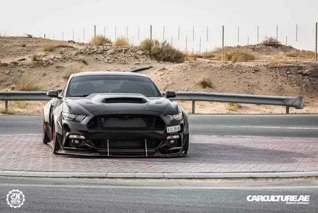 美式肌肉车，低趴的福特野马尽显迷人之处