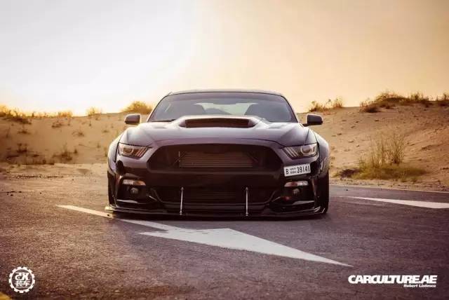 美式肌肉车，低趴的福特野马尽显迷人之处