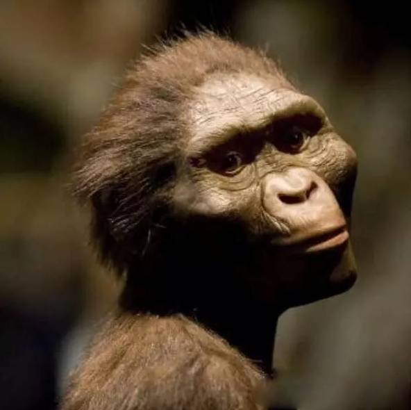 把宇宙138亿年压缩到1年:看完怀疑人生