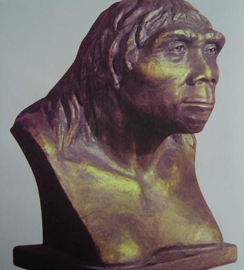 人像复原巴赫哥白尼查理三世长什么样