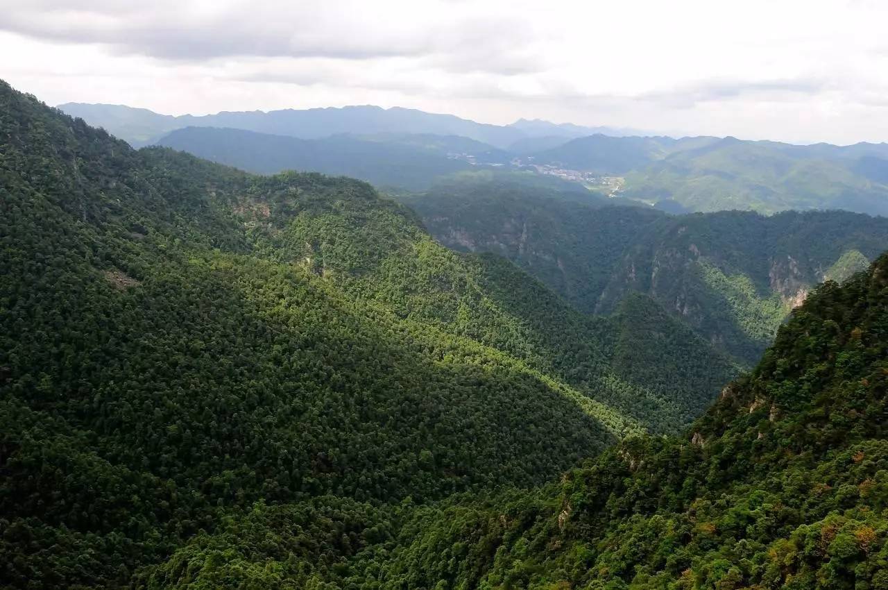 井冈山平台seo优化