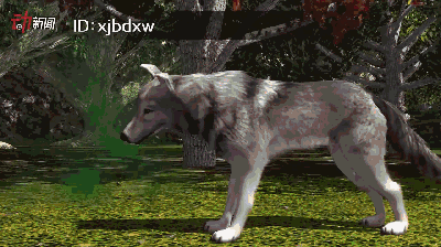 养狐狸当宠物,把父母臭得报警是一种怎样的体验?