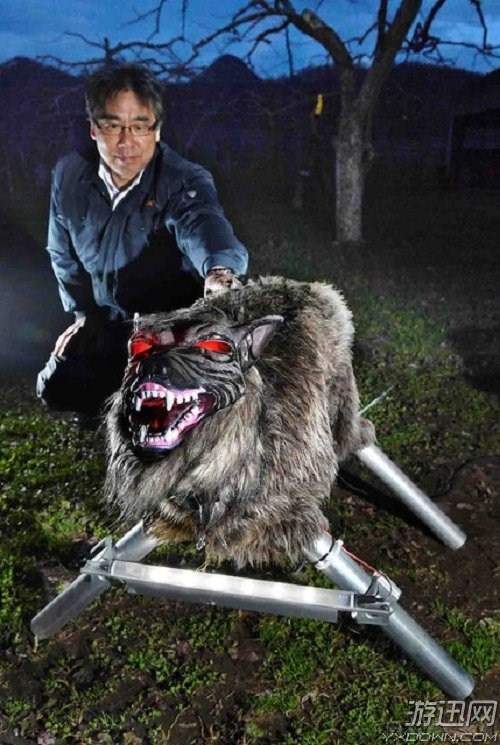 日本农民制造狼型机器人看庄稼 网友:半夜会吓死人的