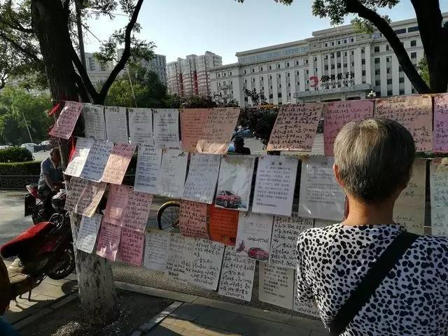 2020女生最佳身高排名_中国女生身高排前三的省份,街头都是长腿美女,第一