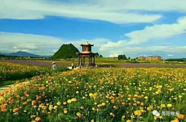 "他说,当前,天洞景区的千色花海等主要项目已经形成,很多村民积极发展