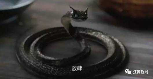 不要以为你是小黑蛇,我就会把你当做夜华!