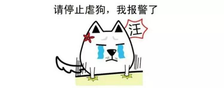 "说一个只有单身狗,才能体验到的乐趣"……网友们的回答扎心了!