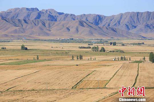 新疆兵团北部秋季农田美如画卷