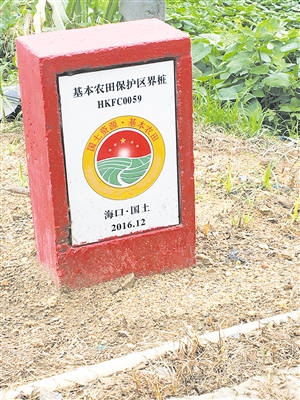 海口市永久基本农田划定后,海口市国土资源局增设了统一规范的永久