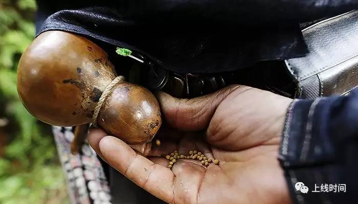 葫芦里倒出来的正是岜沙男子配枪的弹药.视觉中国