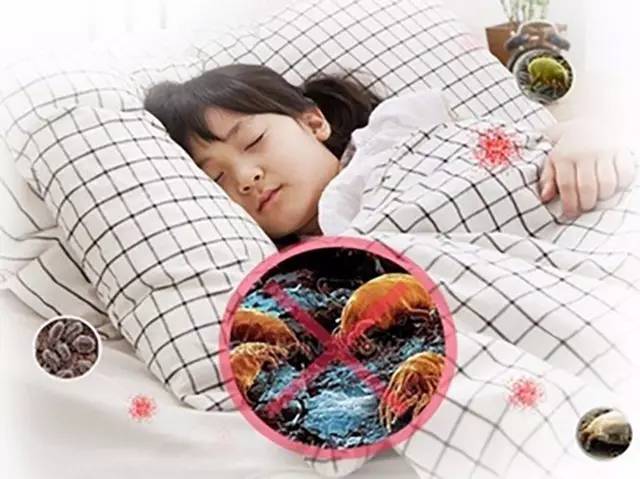 用了这款146年历史老牌床品跟螨虫说byebye