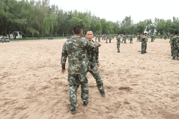 一组动图让你看过瘾|兵哥哥|训练场|排长_新浪新闻