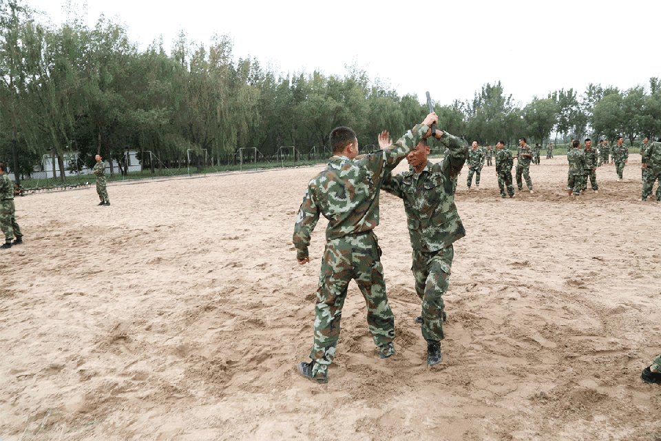 一组动图让你看过瘾|兵哥哥|训练场|排长_新浪新闻