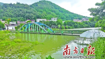 广东新兴县河头镇图片