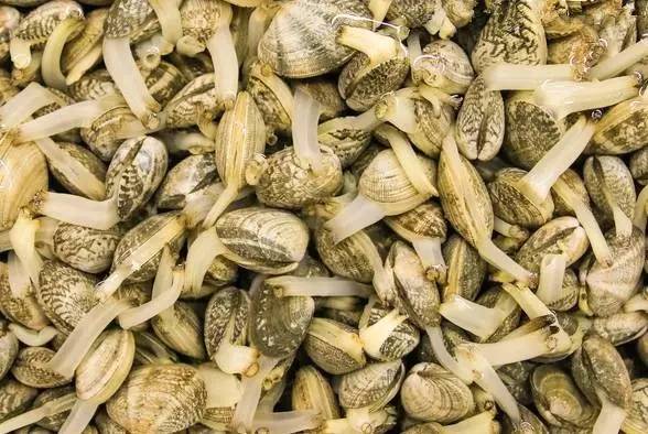 青岛开海啦!盼了4个月的海鲜今天准时到货!