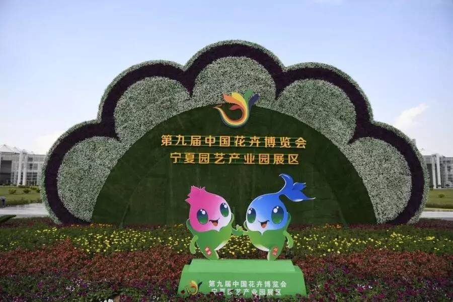 第九届中国花博会惊艳了银川!视频 海量图带你赴这场百花之约!