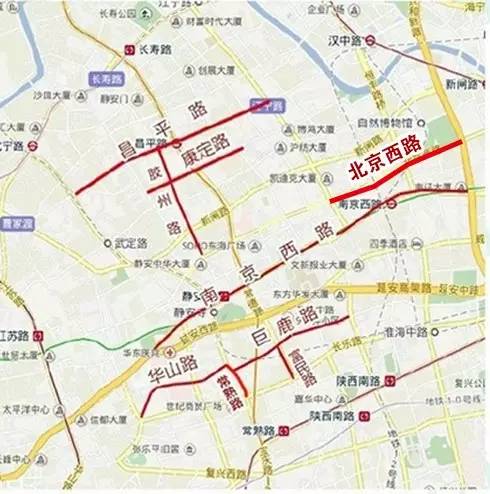静安区 静安区 18 昌平路 江宁路 武宁南路 栾树 2011 静安区 19 保德