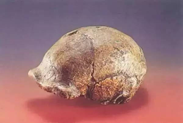 侵华十四年日本掳走中国多少财富