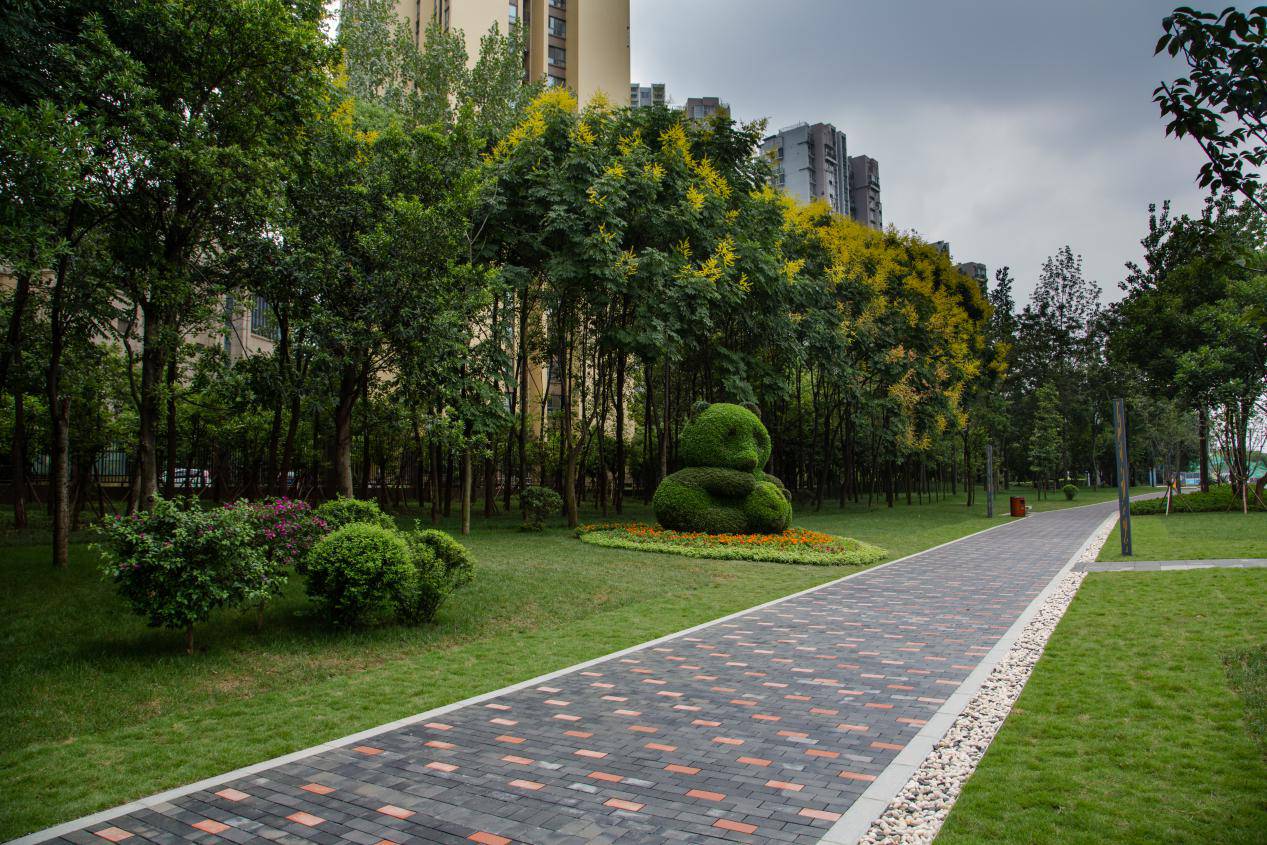 能健身,会服务,还卖萌……成都这条熊猫绿道有点牛!