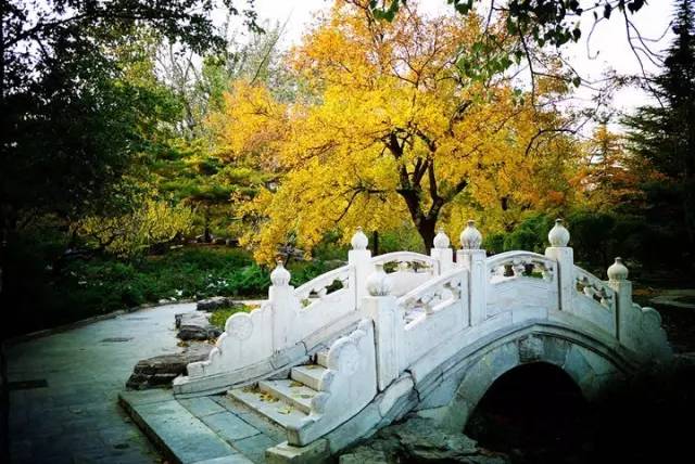 【各有千秋】汉·李陵《与苏武三首》嘉会难再遇,三载为千秋.