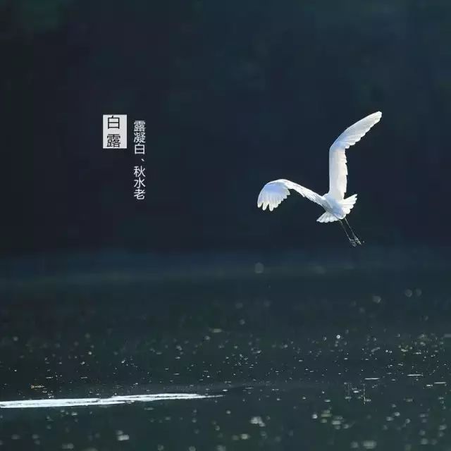 【天气】“古超”几乎灰飞烟灭,周末终于没台风了?真相是……_手机新浪网