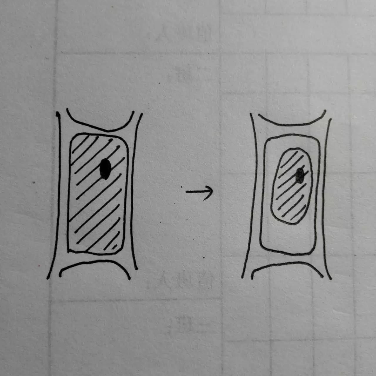 张岚天生物 在微博上看到一些说法是 "嫉妒使我质壁分离", "嫉妒使我