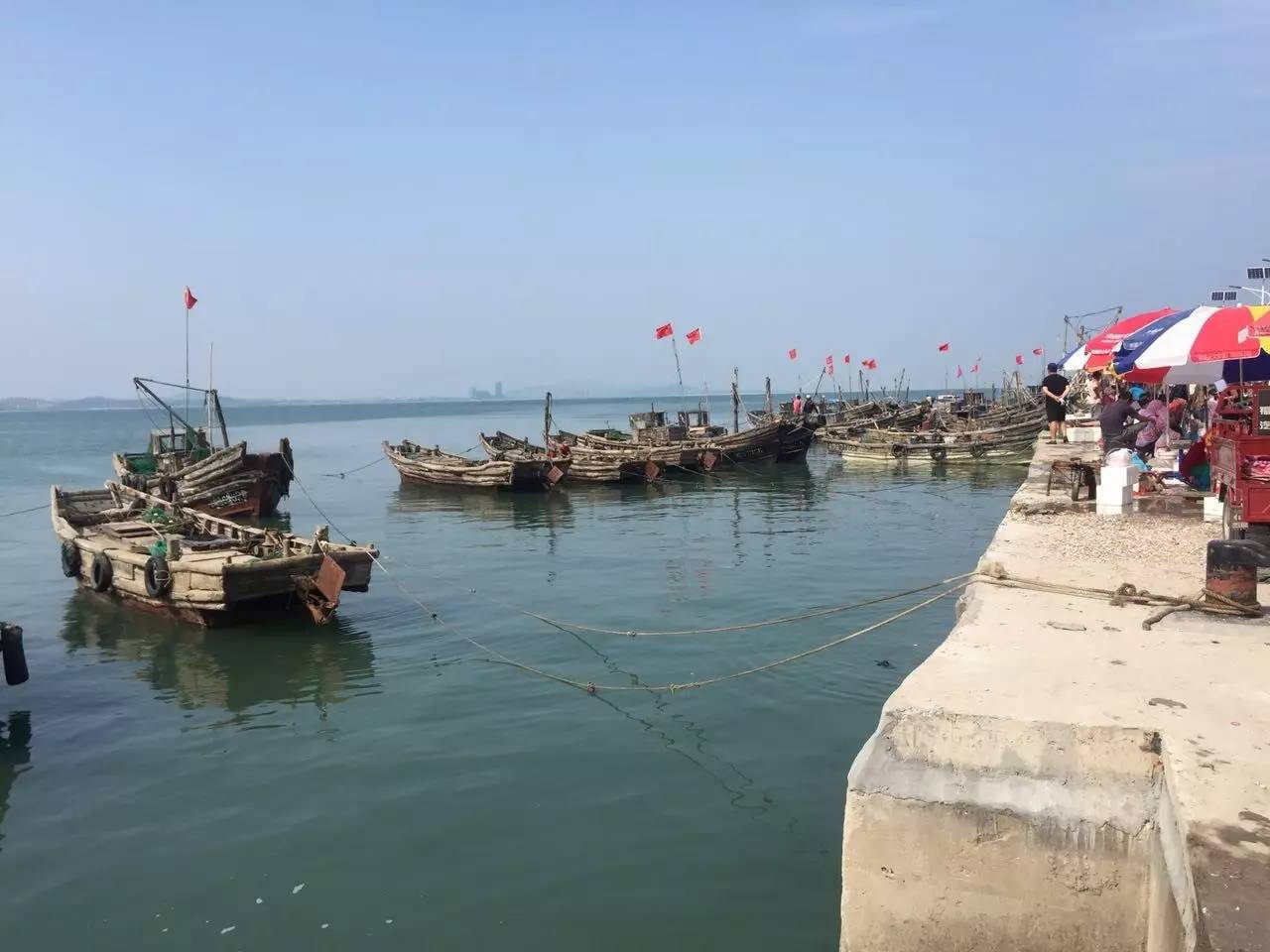 对青岛人来说,每年开海都是节日,守着码头的感觉太好了!