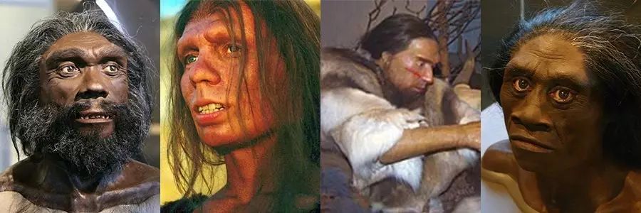 意外x河森堡:500分钟讲完人类70万年历史,