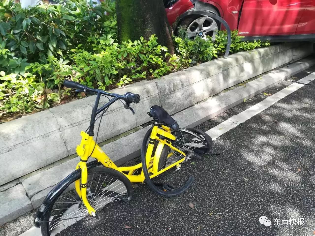 惨 西湖公园外,宝马车又撞死共享单车骑手 半年内,相同路段 手机新浪网 