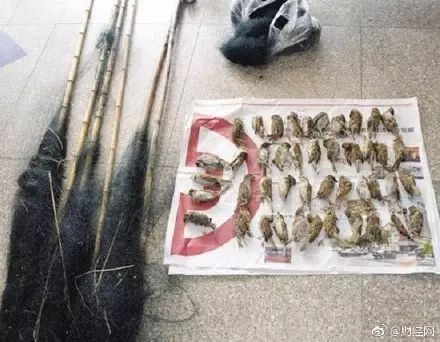 教师的职业妈妈的工作,她们是一群特殊的老师