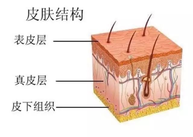 面膜|皮肤|透明质酸_新浪新闻