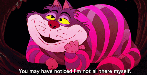 500_254gif 动态图 动图