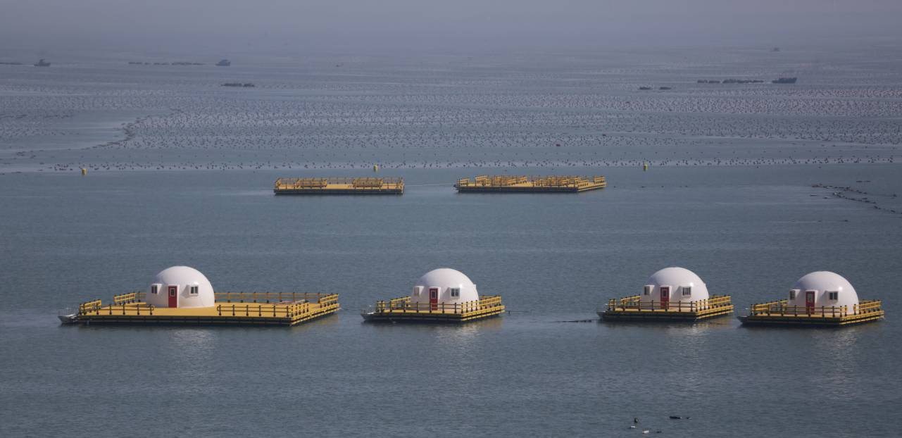 海洋牧场建设过程中,除了投放人工鱼礁,山东省还在浅海养殖技术和模式