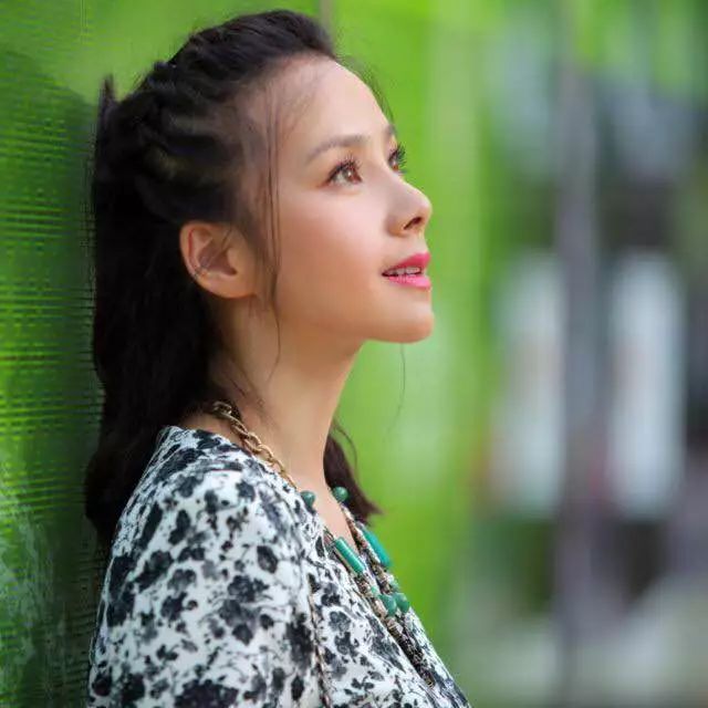 赵薇|孙俪|何琳_新浪新闻