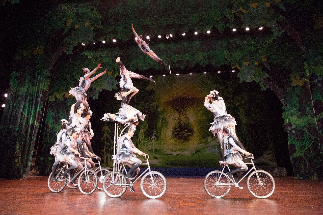 吴桥国际杂技节月底在石家庄开幕!保护好你的小心脏喔!