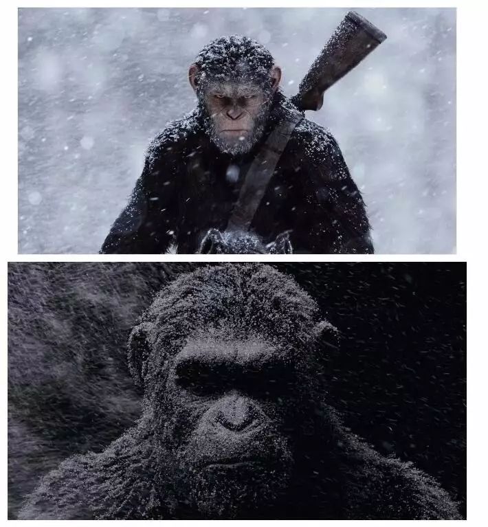 赠票丨猩球崛起3动作捕捉的范本人性尊严的史诗