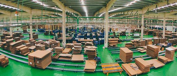 纸业涨价潮调查中游纸板厂囤货提价下游纸箱厂利润被挤压