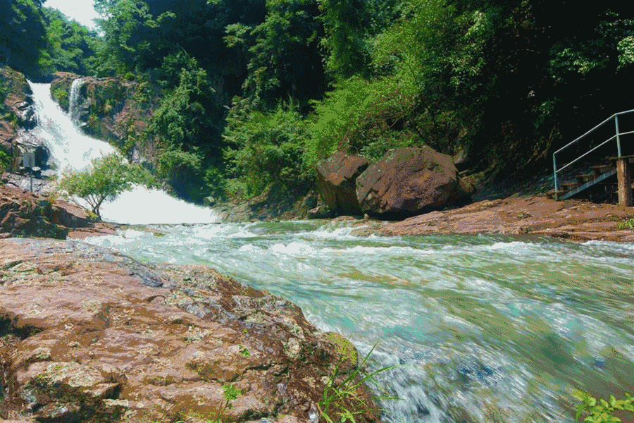 先送你一张500元的三江卡,够不够用?