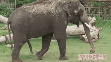 愿天堂里没有拍马屁 每日轻松一刻9月15日晚间版