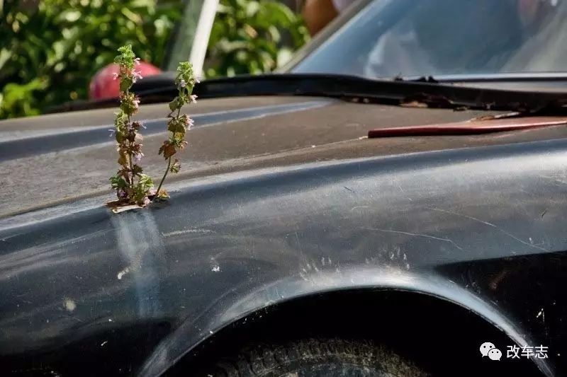 车友从垃圾堆里捡回来的漂移车，竟然是辆70年代的街头