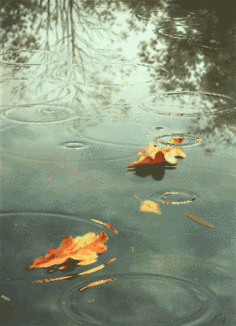 大家要备好秋裤哦长春将迎来连续3天的降雨天气,ヽ下雨`ヽ,ヽ`ヽ`,ヽ`