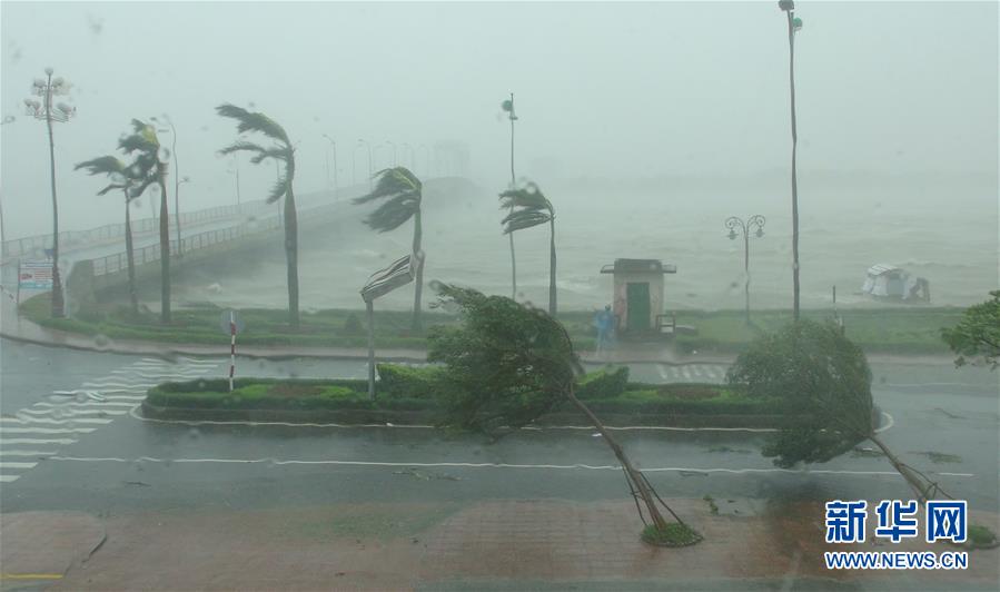 台风杜苏芮登陆越南6人遇难图